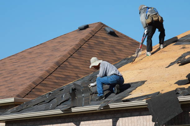  Loudon, TN Roofing service Pros