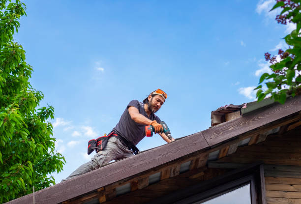 Best Roof Insulation Installation  in Loudon, TN